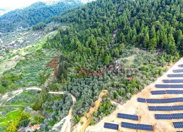 Image No.12-Propriété à vendre à Skopelos