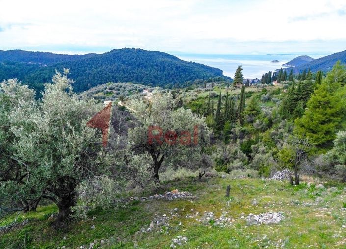 Image No.13-Propriété à vendre à Skopelos