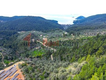 img61f1c9fb-de36-4587-95b5-7f2b467d8b53