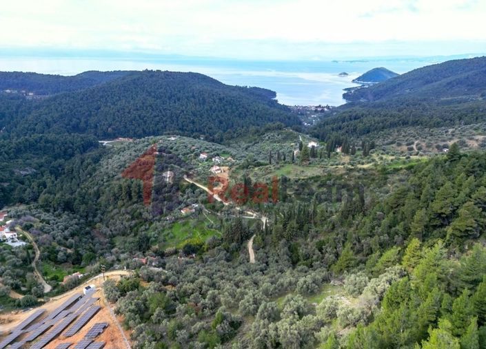 Image No.2-Propriété à vendre à Skopelos