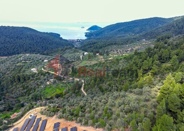 Image No.3-Propriété à vendre à Skopelos