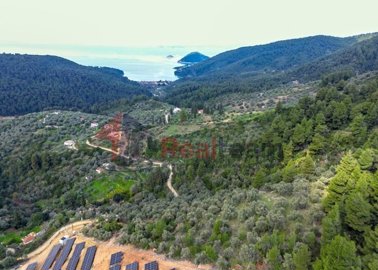 img839634e0-12e8-4f77-b277-68bc2fa655e2