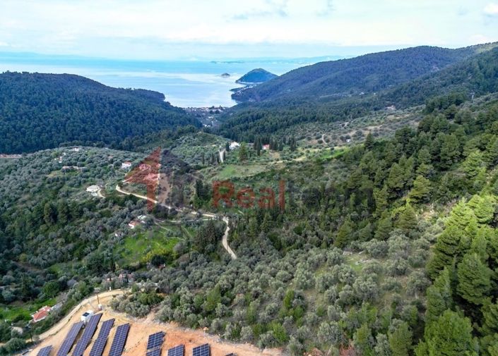 Image No.4-Propriété à vendre à Skopelos