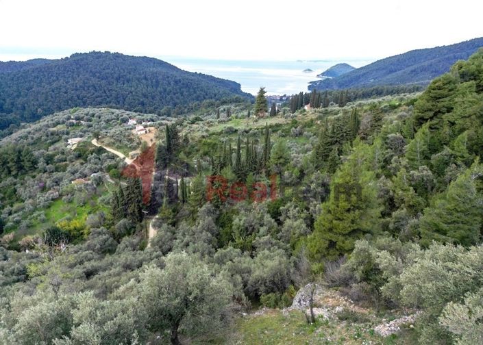 Image No.5-Propriété à vendre à Skopelos