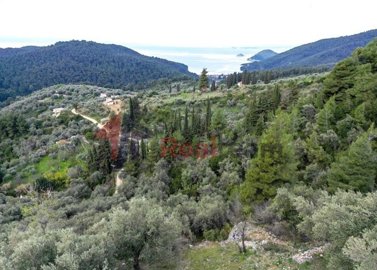 img01d885dd-a620-484a-9ddd-79cda1ce6c65