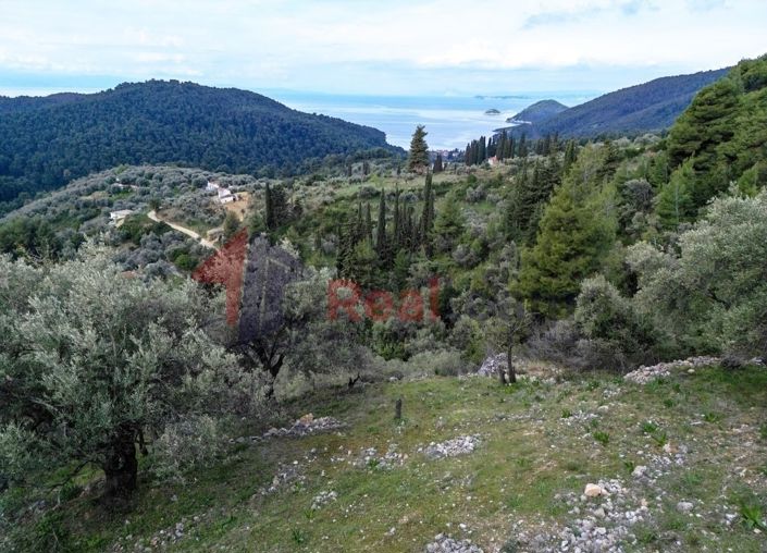 Image No.6-Propriété à vendre à Skopelos