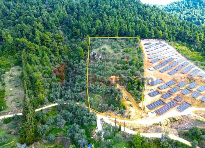 Image No.8-Propriété à vendre à Skopelos