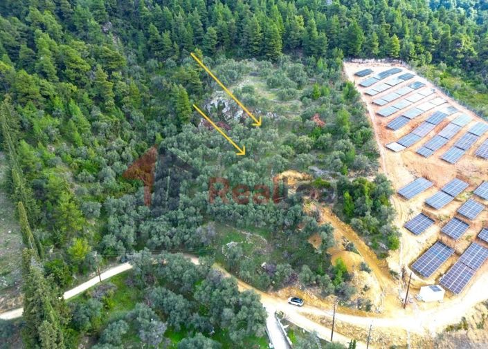 Image No.9-Propriété à vendre à Skopelos