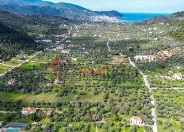 img752918ed-c47c-4dab-b6d3-6e6b2997f5f4