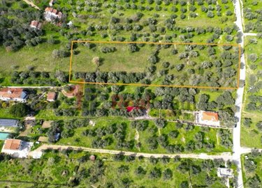 imgebac7dcc-0b74-4f16-8924-540a719a6baa