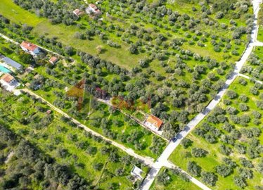 img15d8d6a2-0d96-4208-b042-da227ea69e95