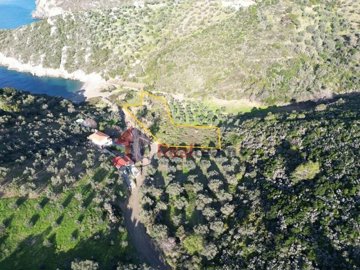 img15fc288e-42ca-4b42-9633-8916c1655e2e