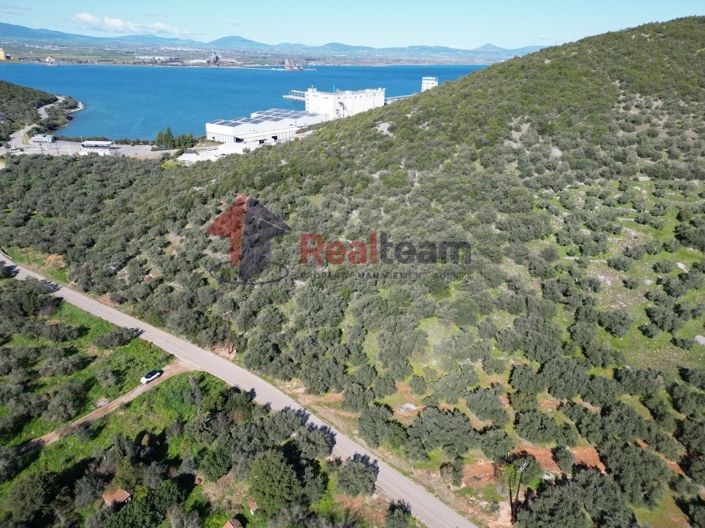 Image No.10-Propriété à vendre à Sourpi