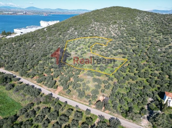 Image No.11-Propriété à vendre à Sourpi