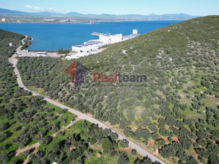 Image No.12-Propriété à vendre à Sourpi