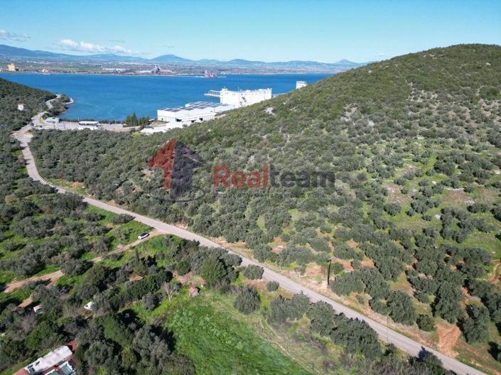 Image No.13-Propriété à vendre à Sourpi