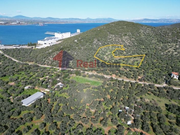 Image No.14-Propriété à vendre à Sourpi