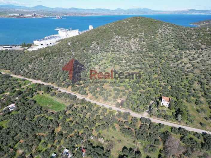 Image No.15-Propriété à vendre à Sourpi