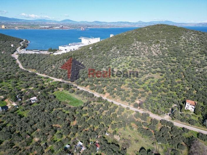 Image No.16-Propriété à vendre à Sourpi