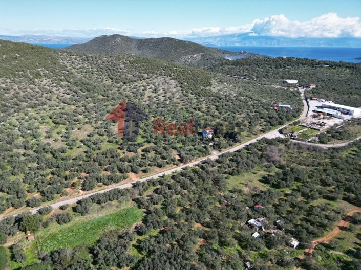 Image No.17-Propriété à vendre à Sourpi