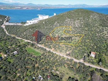 imgf0b0a5ec-eb78-4147-a305-3e44c729e431