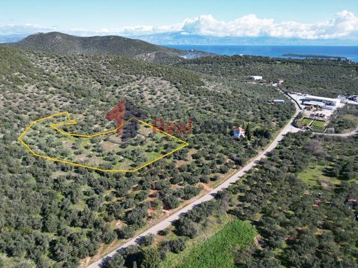 Image No.3-Propriété à vendre à Sourpi