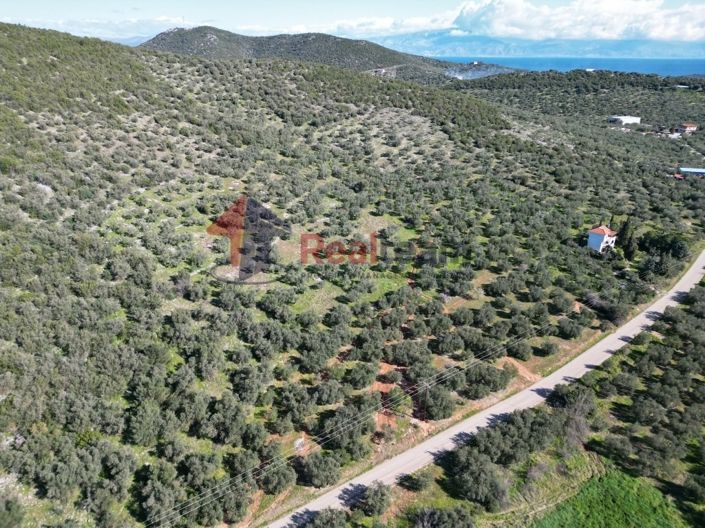 Image No.4-Propriété à vendre à Sourpi