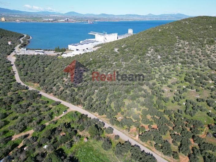 Image No.5-Propriété à vendre à Sourpi