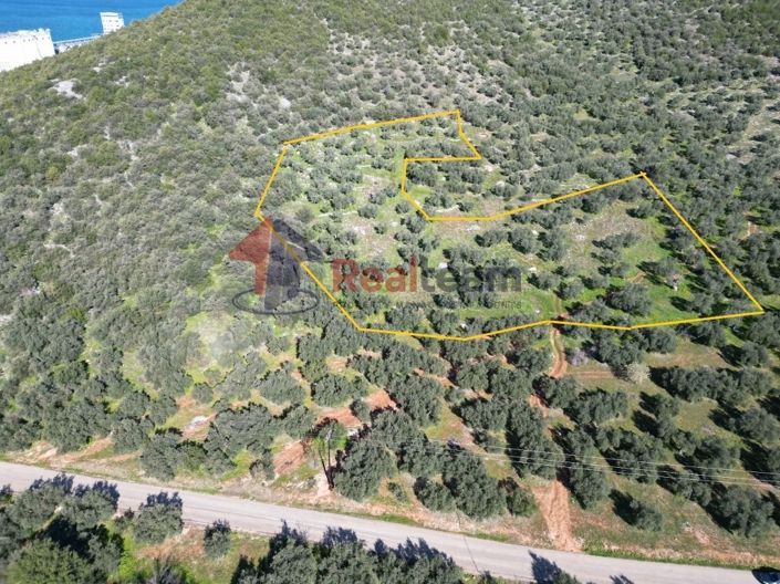 Image No.6-Propriété à vendre à Sourpi