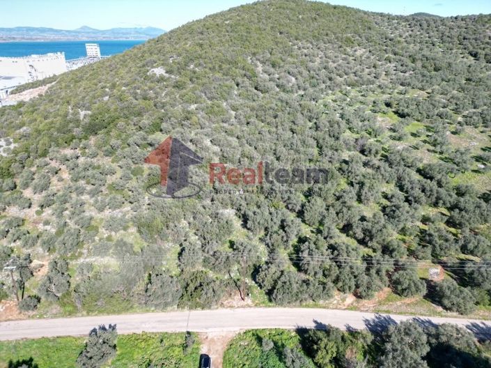 Image No.7-Propriété à vendre à Sourpi