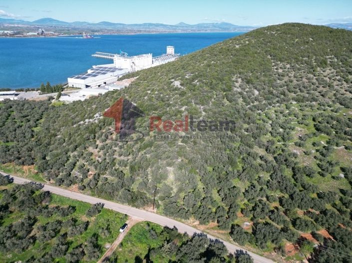 Image No.8-Propriété à vendre à Sourpi