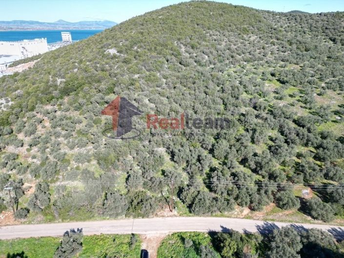 Image No.9-Propriété à vendre à Sourpi