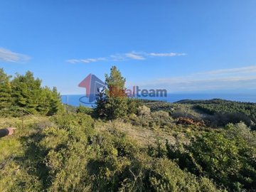 img21acbaef-5e79-4e97-8535-ede4638706c5