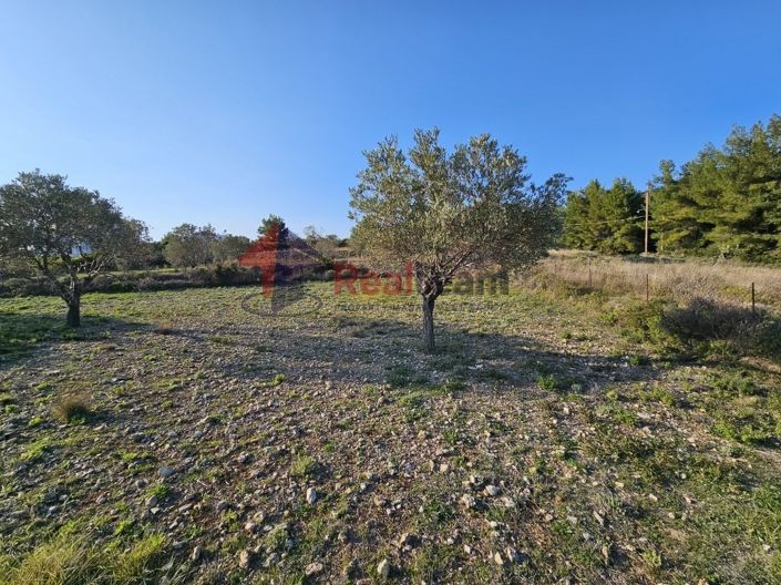 Image No.14-Propriété à vendre à Alonnisos