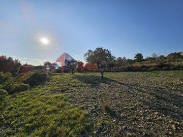 img2f7cd61a-fb54-44f6-a6ac-e1836afaa141