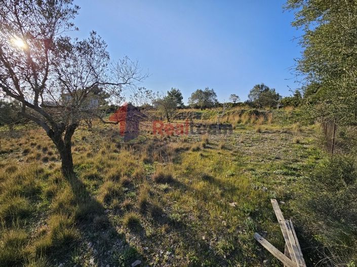 Image No.19-Propriété à vendre à Alonnisos