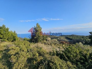 img6f1b4159-f560-407f-a0ed-a7ea79abd96e