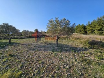 img4e7ef745-45ae-45a1-a88b-8c0f04dde36d