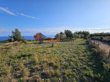 img29ccdb98-ed55-4ab5-94ba-ed21dc80687c