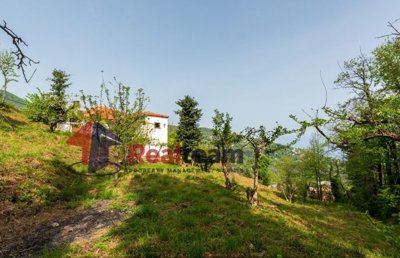 img9c8f6a9e-cb78-485b-9bf4-6b5e126e7ee9