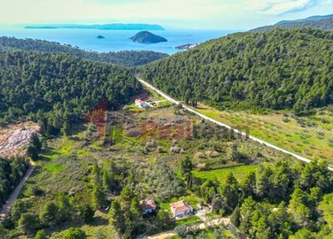 img69326d49-a8c7-46bd-ba2d-71eeda36417d