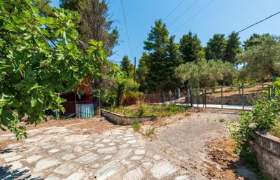 imge1434fd3-75e1-4749-8f2e-d2d04d00cc1b