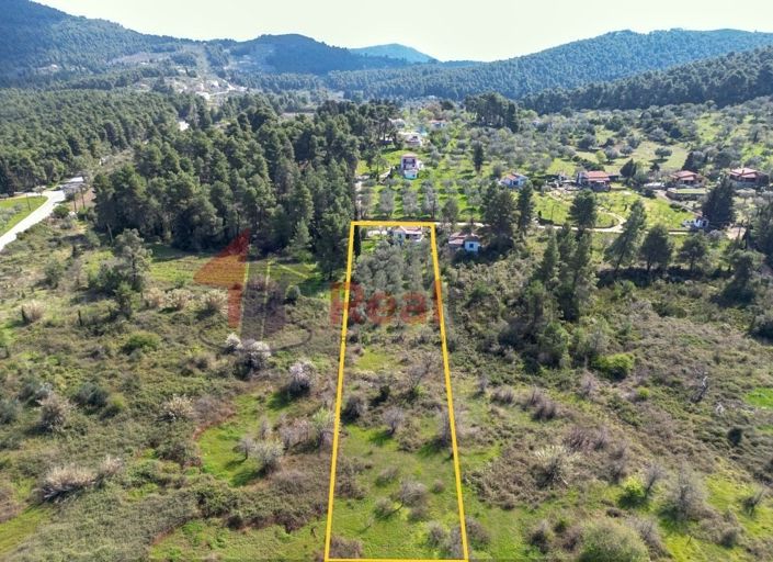 Image No.3-Propriété de 1 chambre à vendre à Ditropo