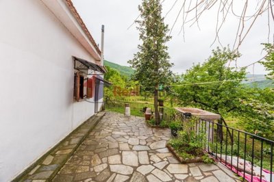 img2948a4af-ccfa-4c45-bd8c-82dfb1d8b07e