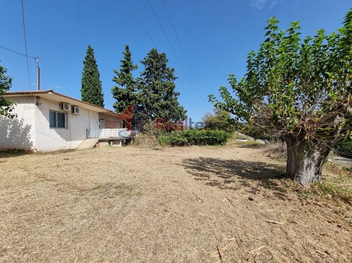 Image No.15-Propriété à vendre à Pelasgia