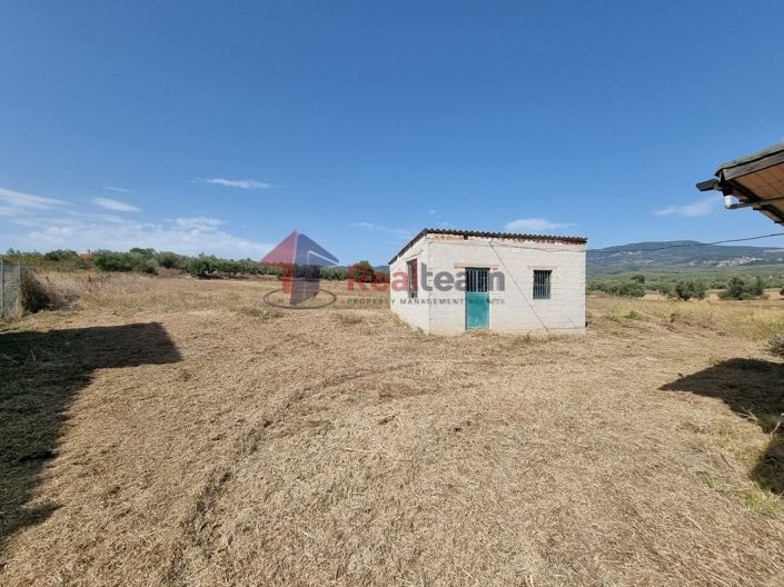 Image No.16-Propriété à vendre à Pelasgia