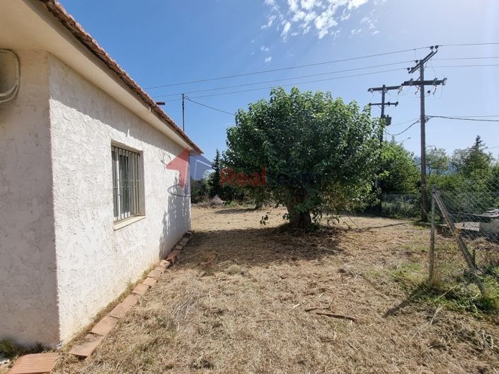 Image No.18-Propriété à vendre à Pelasgia