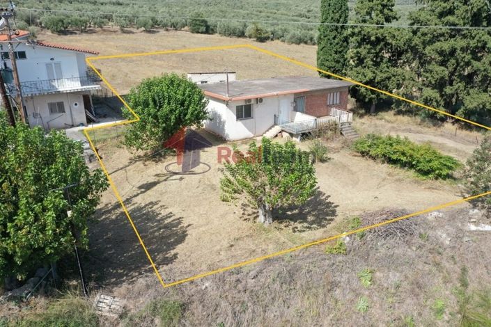 Image No.19-Propriété à vendre à Pelasgia