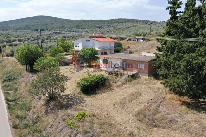 Image No.21-Propriété à vendre à Pelasgia