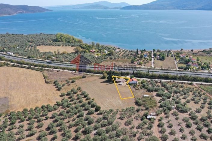 Image No.24-Propriété à vendre à Pelasgia